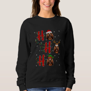 Xmas Lights HO HO HO Bloodhound Dog Funny Ugly Chr Sweatshirt