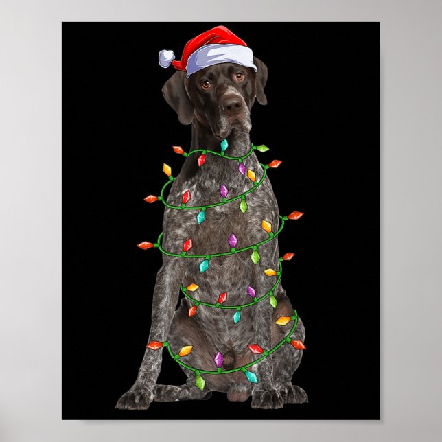 Xmas Lights Santa German Shorthaired Inter Dog Chr Poster (Front)