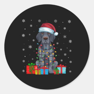 Xmas Lights Santa German Shorthaired Pointer Dog C Classic Round Sticker