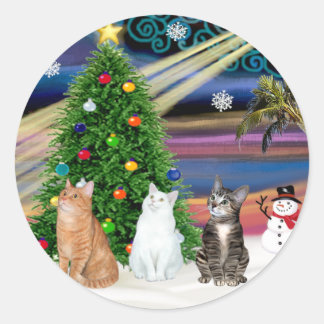 Xmas Magic - 3 cats (2 tabbys - white) Classic Round Sticker