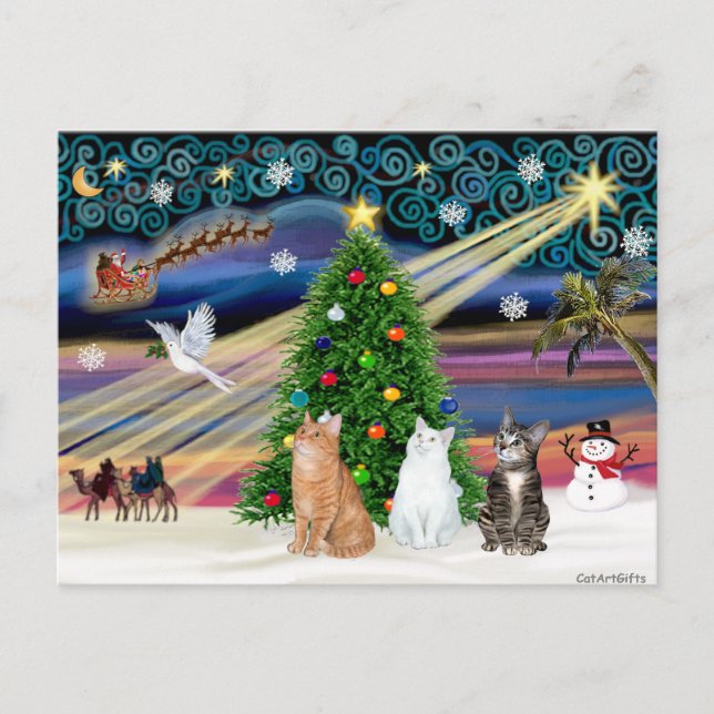 Xmas Magic - 3 cats (2 tabbys - white) Holiday Postcard (Front)