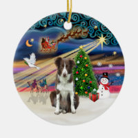 Xmas Magic - Border Collie (brown-white)