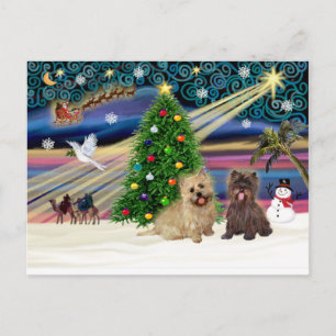 Xmas Magic-Cairn Pair-wheatn+brindle Holiday Postcard