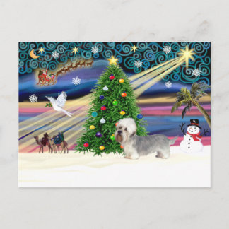 Xmas Magic-Dandi Dinmont gray Holiday Postcard