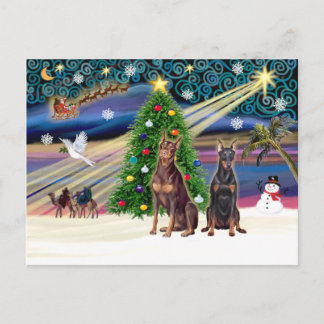 Xmas Magic-Doberman Pair Holiday Postcard