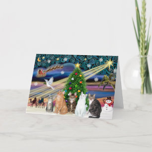 Xmas Magic - Five cats (AmSH) Holiday Card