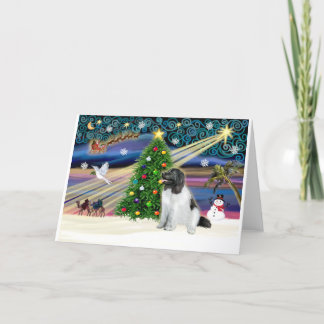 Xmas Magic-Newfie-Landseersit Holiday Card