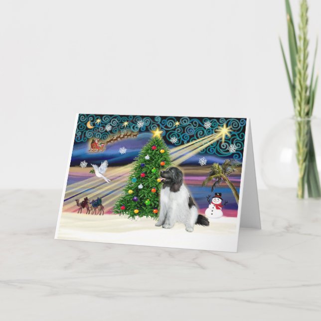 Xmas Magic-Newfie-Landseersit Holiday Card (Front)