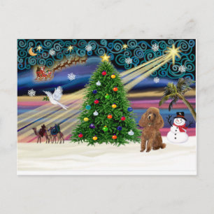 Xmas Magic-Poodle-Toy-Apricot Holiday Postcard