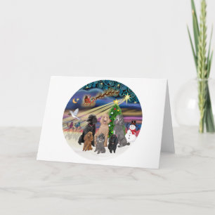 Xmas Magic (R) - 6 Standard Poodles Holiday Card