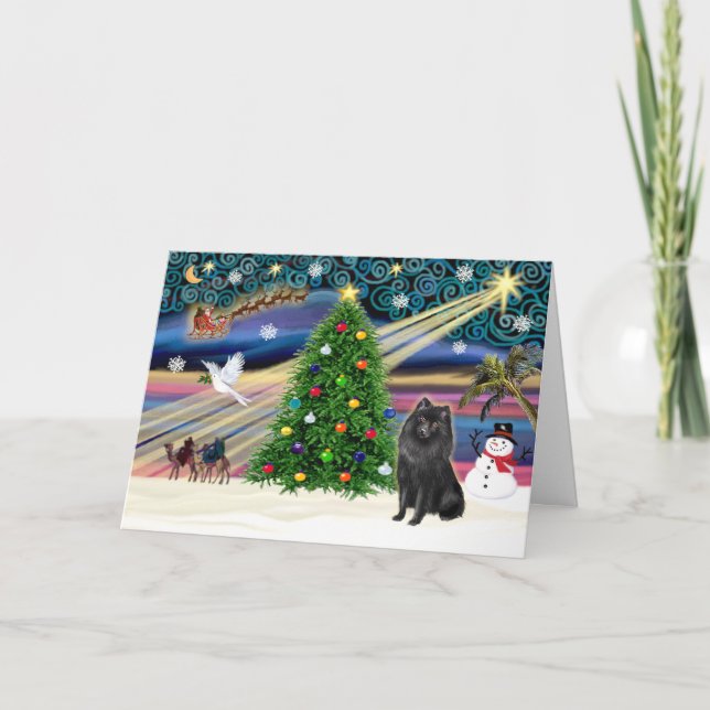 Xmas Magic-Schipperke Holiday Card (Front)