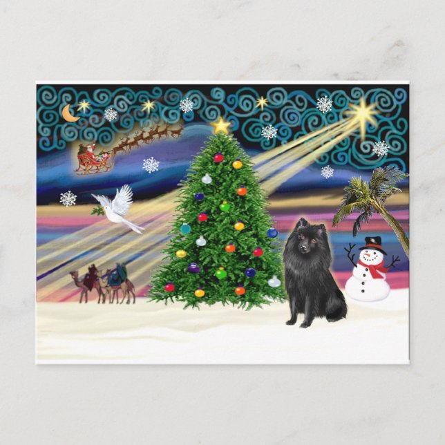 Xmas Magic-Schipperke Holiday Postcard (Front)