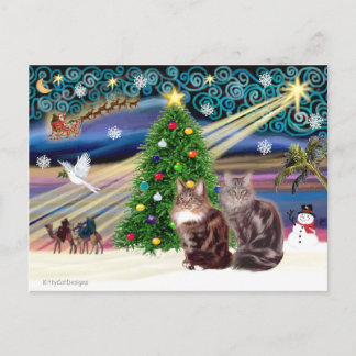 Xmas Magic - Two Maine Coon cats Holiday Postcard