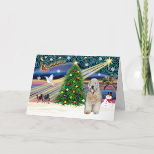 Xmas Magic - Wheaten Terrier - Customized Holiday Card