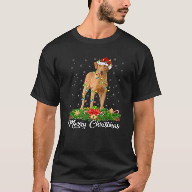 Xmas Matching Santa Hat Chesapeake Bay Retriever C T-Shirt (Front)