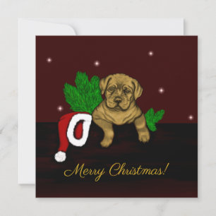 XMas Puppy Holiday Card