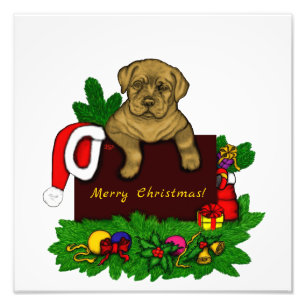 XMas Puppy Photo Print