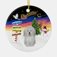 Xmas Signs - Coton de Tulear #3