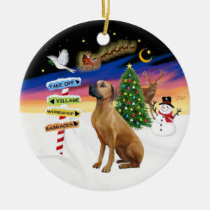 Xmas Signs - Rhodeisn Ridgeback Ceramic Ornament