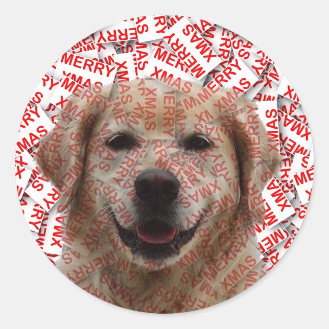 Xmas Smiling Golden Retriever Dog Classic Round Sticker (Front)