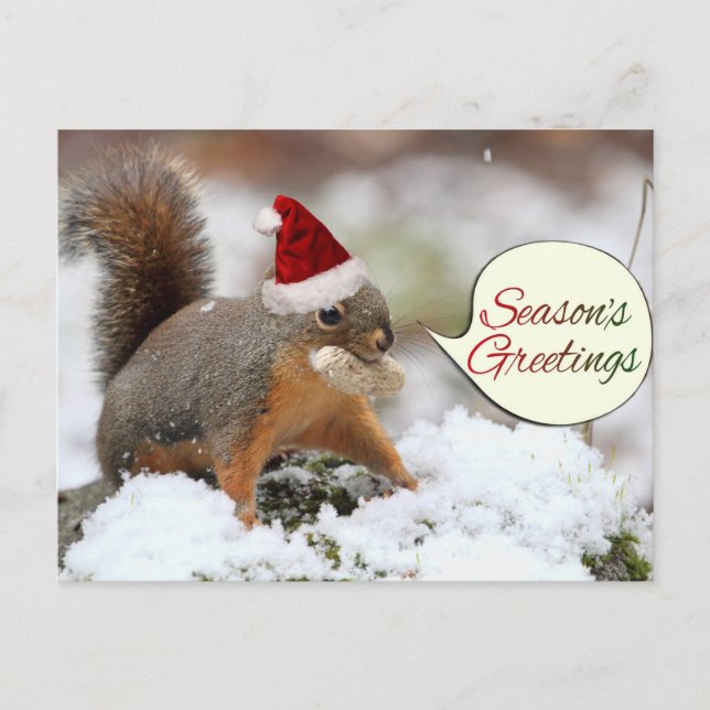Xmas Squirrel in Snow Holiday Postcard (Front)