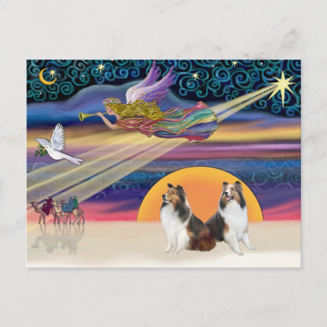 Xmas Star - Two Shelties Holiday Postcard (Front)