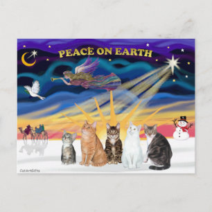 Xmas Sunrise - Five cats (AmSH) Holiday Postcard