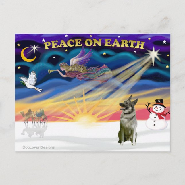 Xmas Sunrise - Norwegian Elkhound Holiday Postcard (Front)