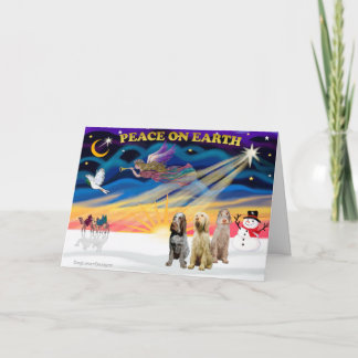 Xmas Sunrise - Three Italian Spinones Holiday Card