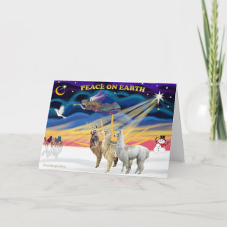 Xmas Sunrise - Three Llamas Holiday Card