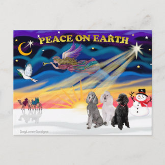 Xmas Sunrise - Three Standard Poodles Holiday Postcard