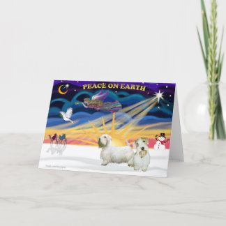 Xmas Sunrise - Two Sealyham Terriers Holiday Card