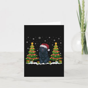Xmas Tree Light Newfoundland Dog Santa Hat Christm Card