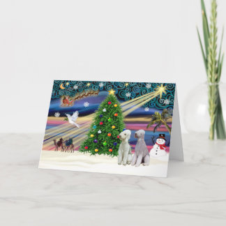 XmasMagic-Bedlington Pair Holiday Card