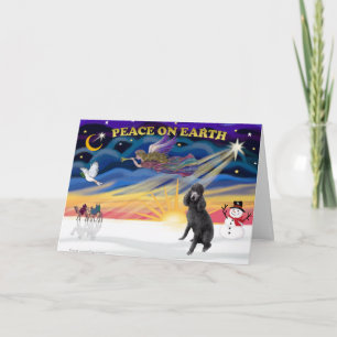 XmasSunrise-Black Standard Poodle Holiday Card