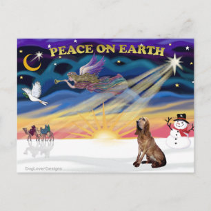 XmasSunrise-BLoodhound Holiday Postcard