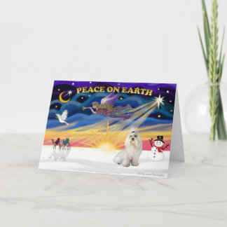 XmasSunrise-Havanese (#1) Holiday Card