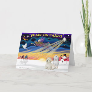XmasSunrise-Two Coton De Tulears Holiday Card