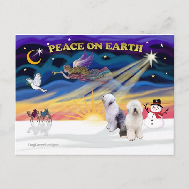 XmasSunrise-Two-Old English Sheepdog Holiday Postcard (Front)