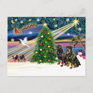 Xms Magic-2 ROTTWEILERS Holiday Postcard