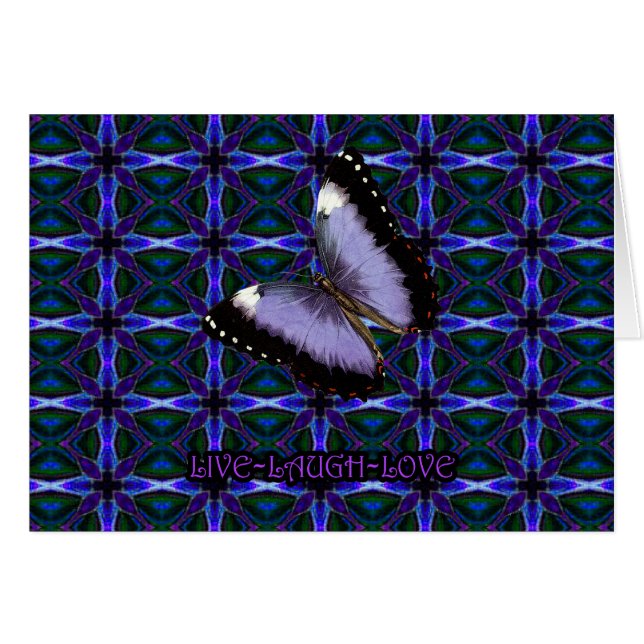 XNP004-130 (Devant horizontal)