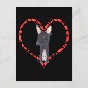 XOLOITZCUINTLE HEART HOLIDAY POSTCARD