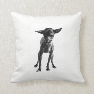 Xoloitzcuintle Pillow