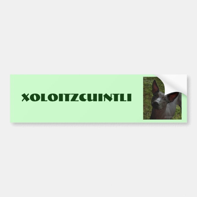 Xoloitzcuintli Bumper Sticker (Front)