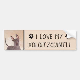 Xoloitzcuintli Painting - Cute Original Dog Art Bumper Sticker