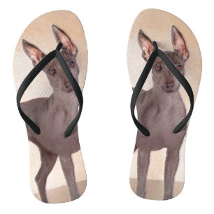 Xoloitzcuintli Painting - Cute Original Dog Art Flip Flops