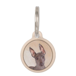 Xoloitzcuintli Painting - Cute Original Dog Art Pet Tag