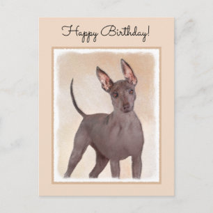 Xoloitzcuintli Painting - Cute Original Dog Art Postcard