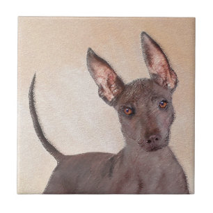 Xoloitzcuintli Painting - Cute Original Dog Art Tile
