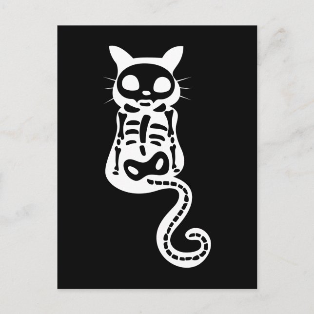 Xray Cat Kitten Skeleton Halloween Postcard (Front)